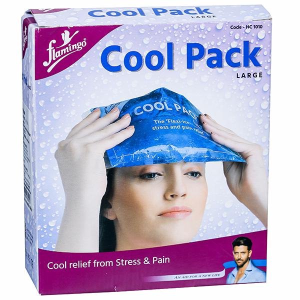 Cool Pack Large 1